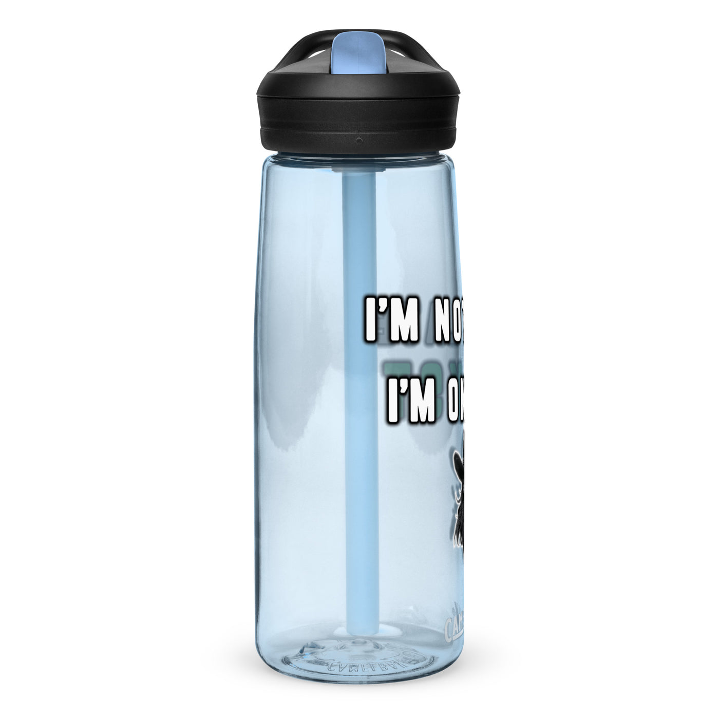 KST WATER BOTTLE